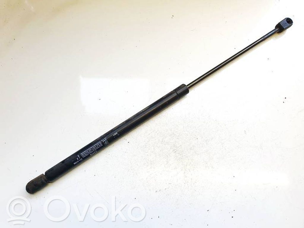 Tailgate/trunk strut/damper