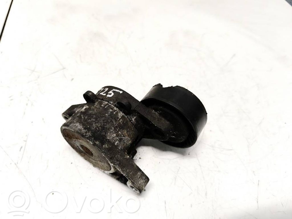 Tensor de correa del alternador   F2260082,F2260082