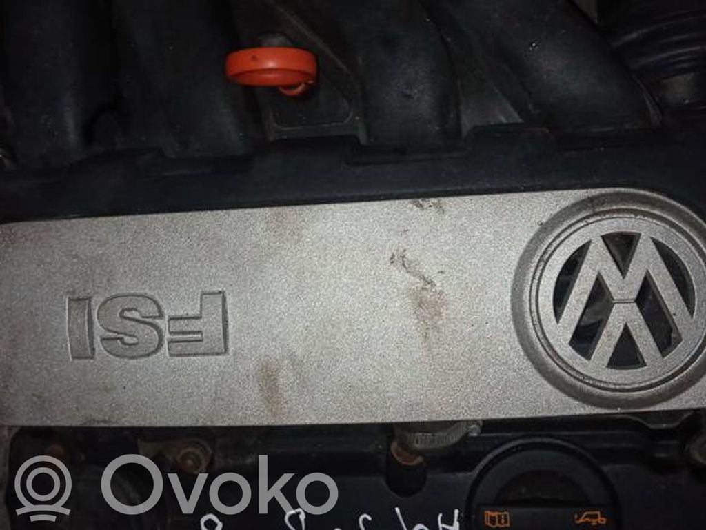Volkswagen PASSAT B6 Copri motore (rivestimento)