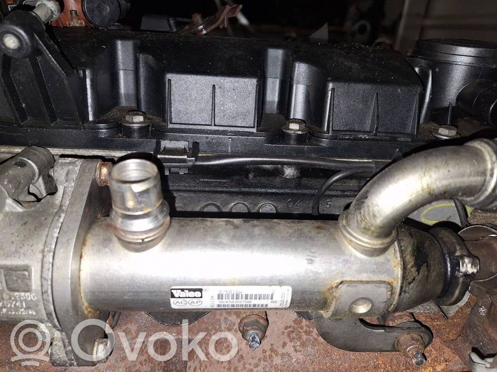 Volvo V50 Valvola di raffreddamento EGR