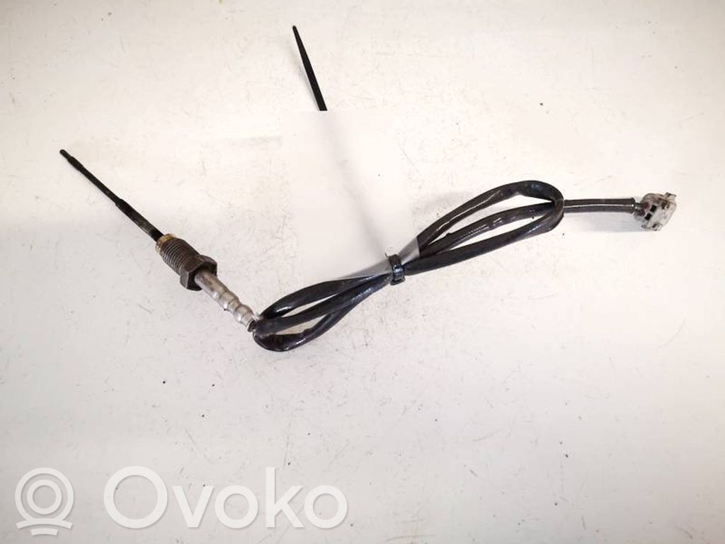 Abgastemperatursensor   226401632R,226401632R