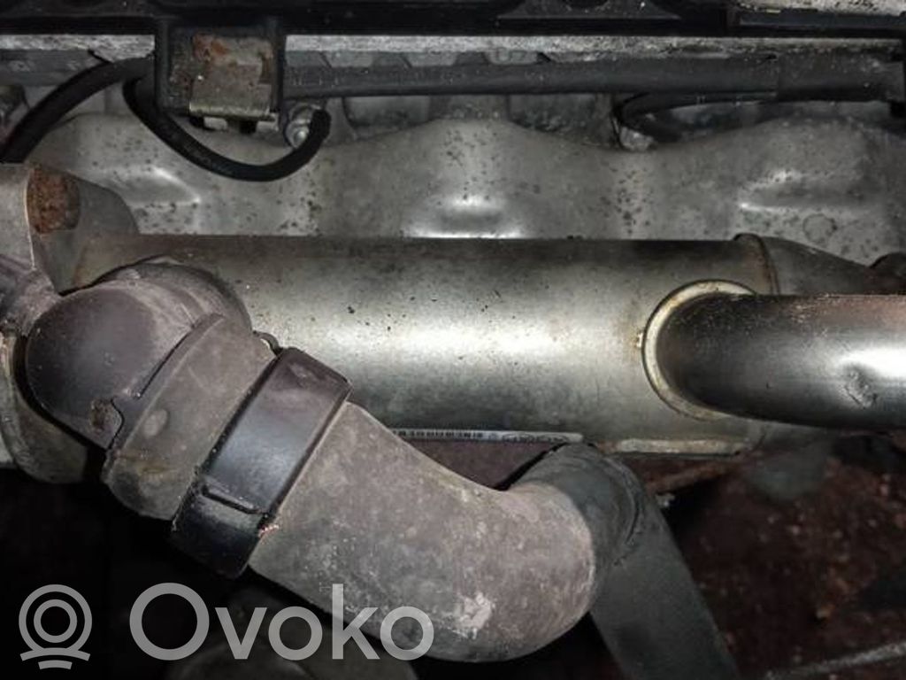 Citroen C5 Valvola di raffreddamento EGR