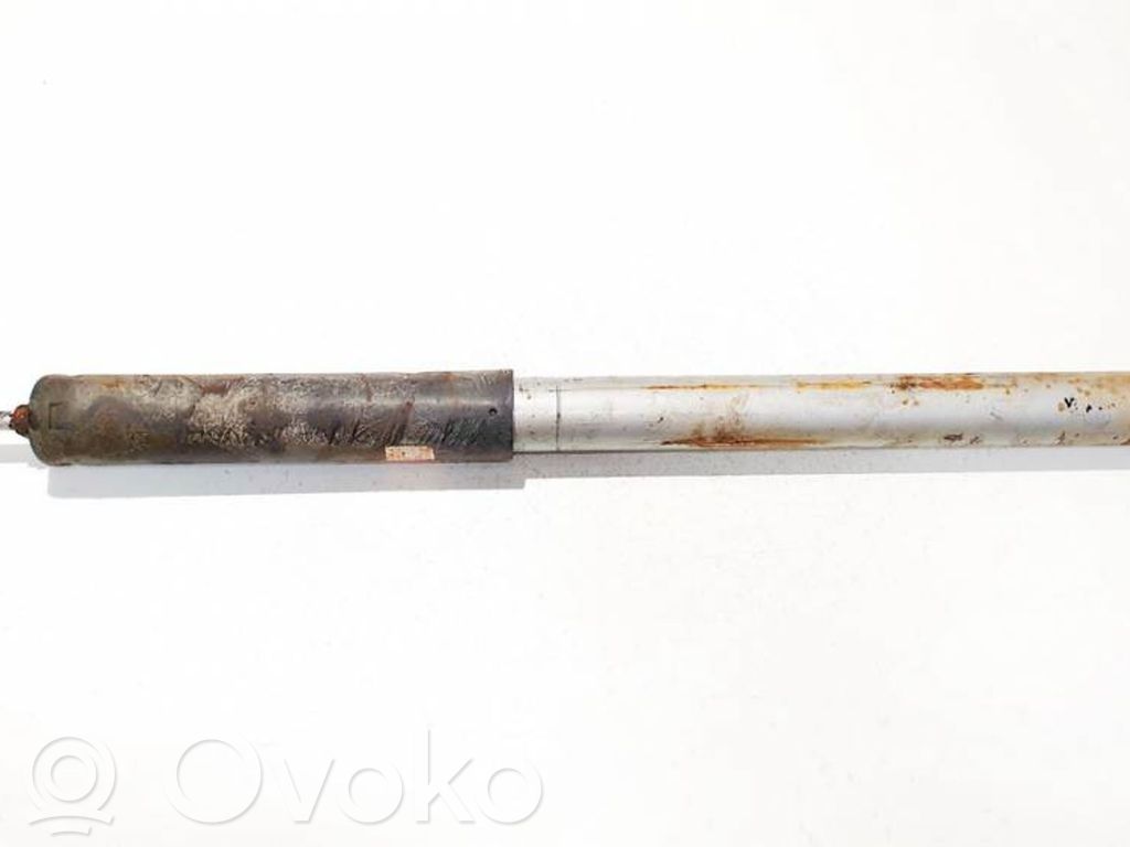 Stoßdämpfer hinten