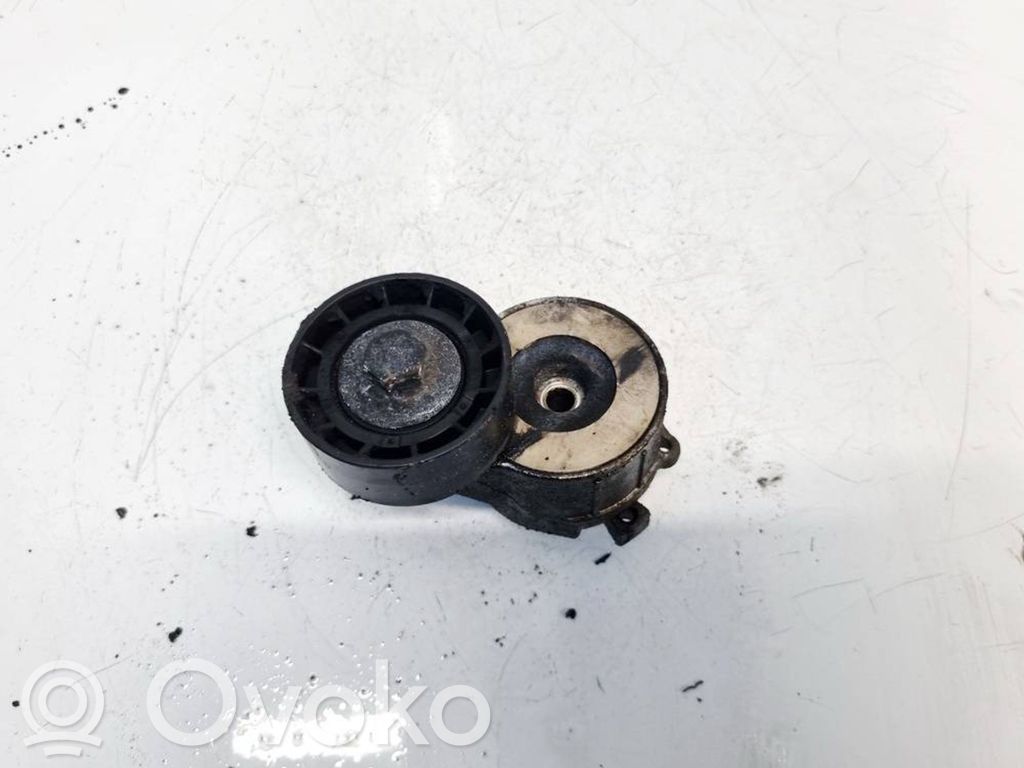 Citroen Nemo Tendicinghia generatore/alternatore 
