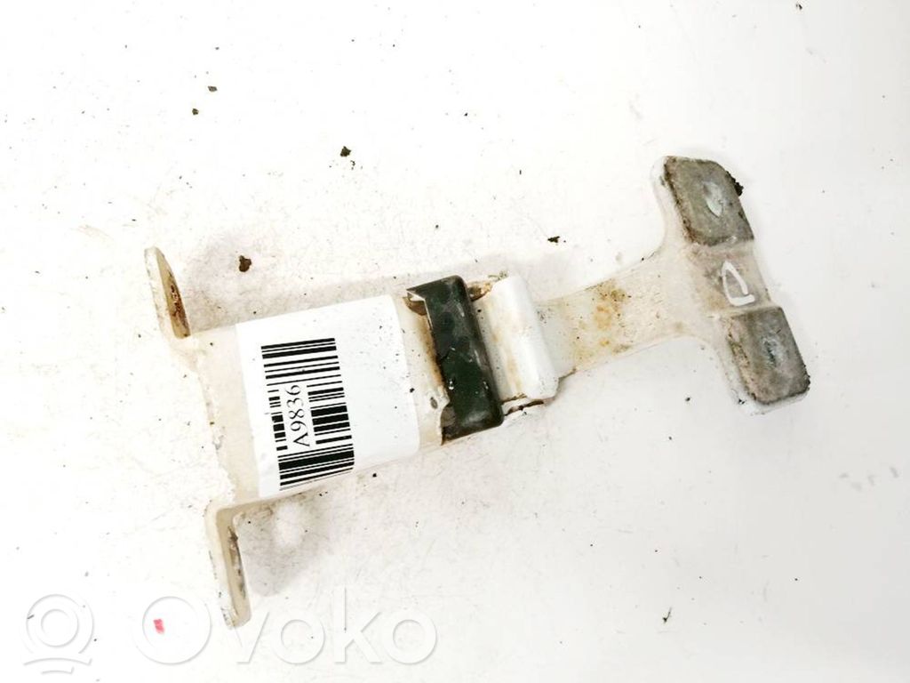 Renault Kangoo II Rear door lower hinge 
