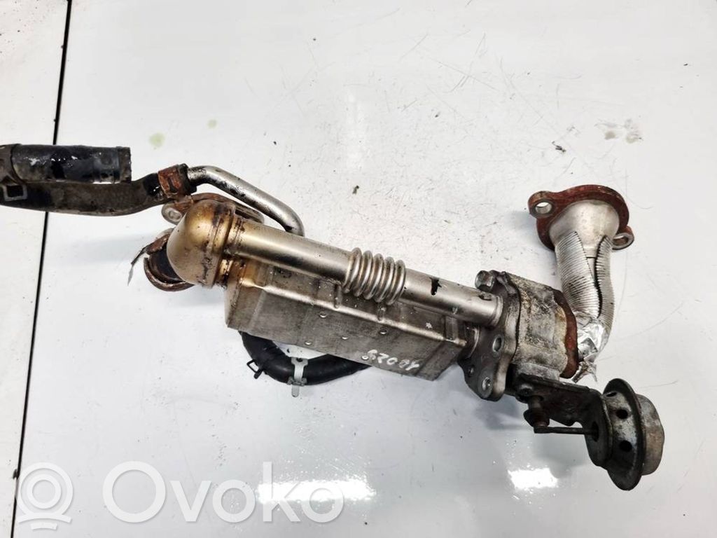 Refroidisseur de vanne EGR   R2AX20304,R2AX20304,R2AX20304,R2AX20304
