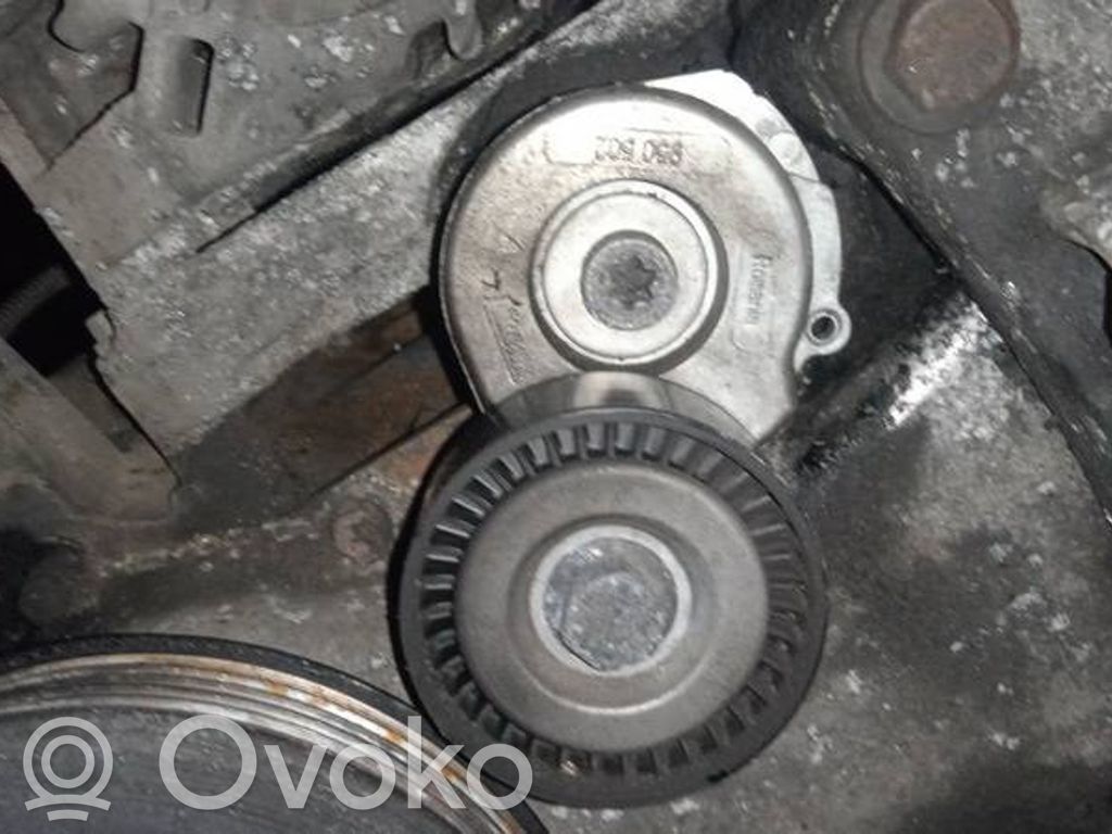 Opel Corsa D Întinzător curea generator/alternator 