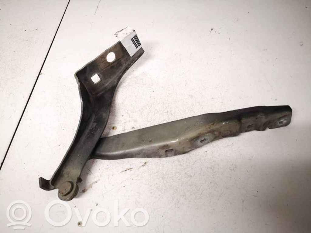 Peugeot 308 Balamale capotă 