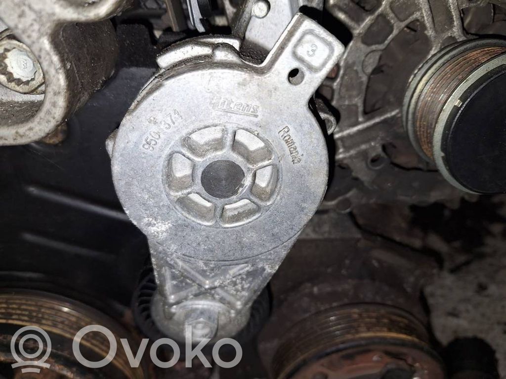 Volkswagen PASSAT B6 Tendicinghia generatore/alternatore 