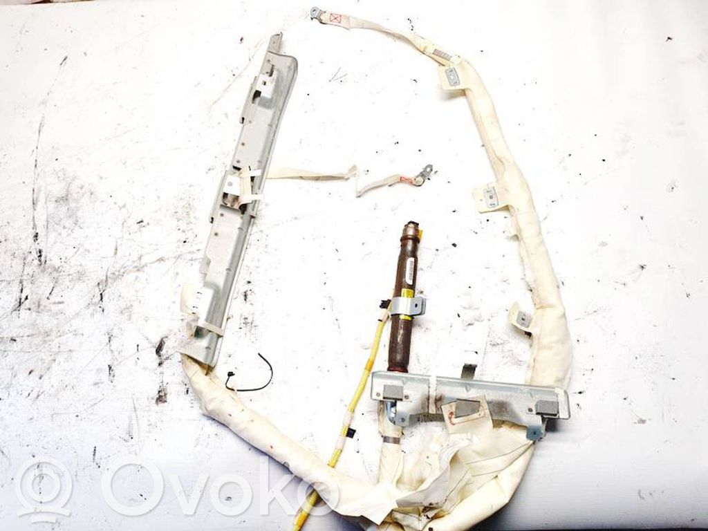 Airbag del techo   116508500,116508500