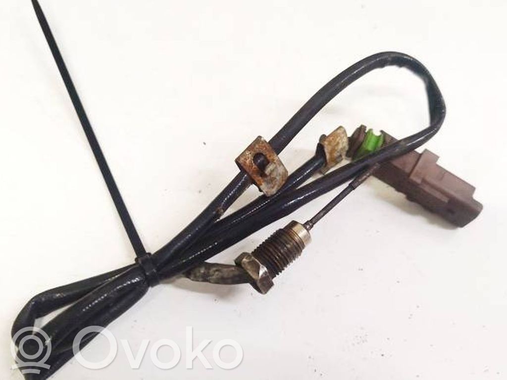 Peugeot 407 Sensore di temperatura dei gas di scarico