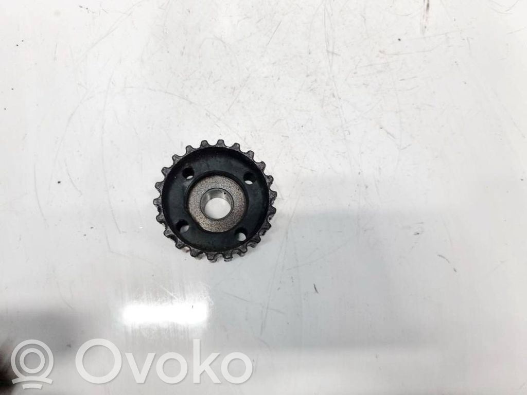 Volkswagen PASSAT B5.5 Puleggia dell’albero motore 