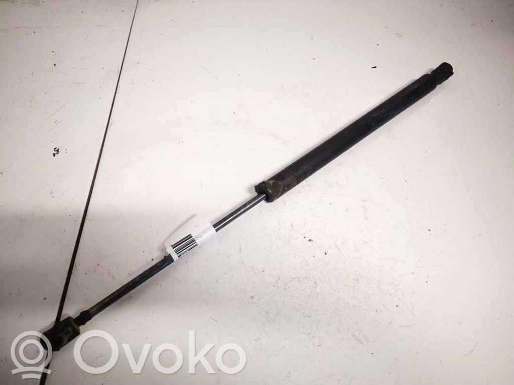 Dodge Journey Ammortizzatore portellone posteriore/bagagliaio