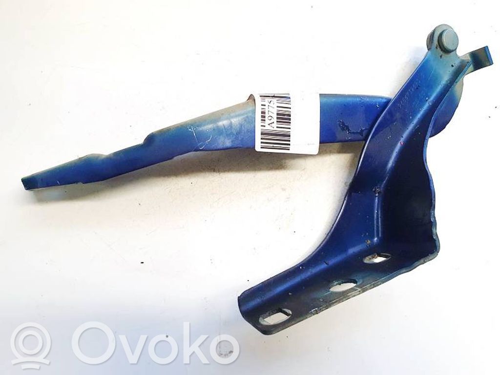 Peugeot 308 Balamale capotă 