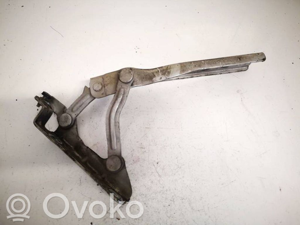 Skoda Octavia Mk2 (1Z) Cerniere del vano motore/cofano