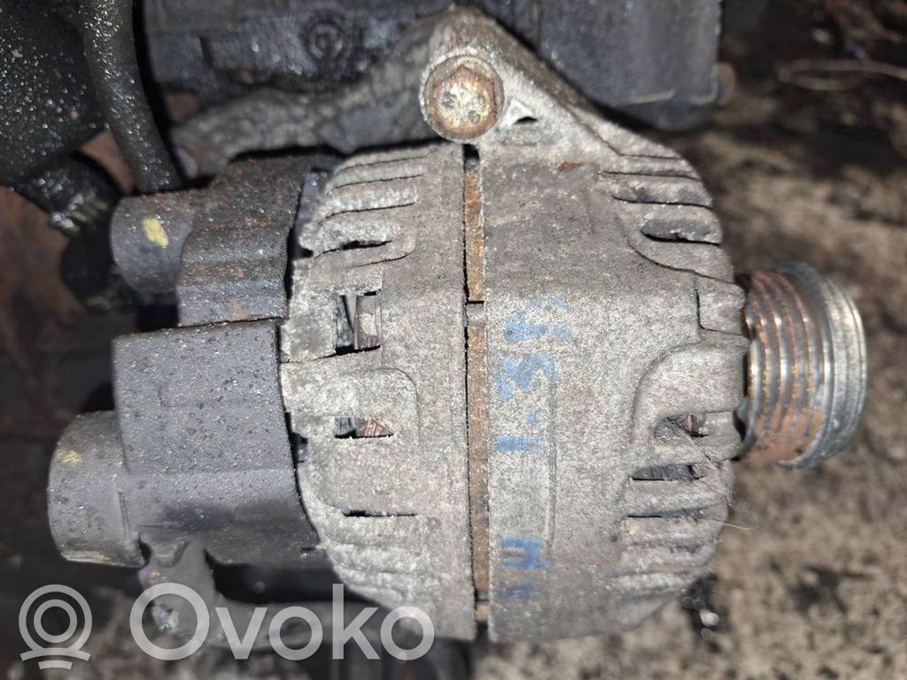 Alternator   13283344,308003411,13283344,308003411
