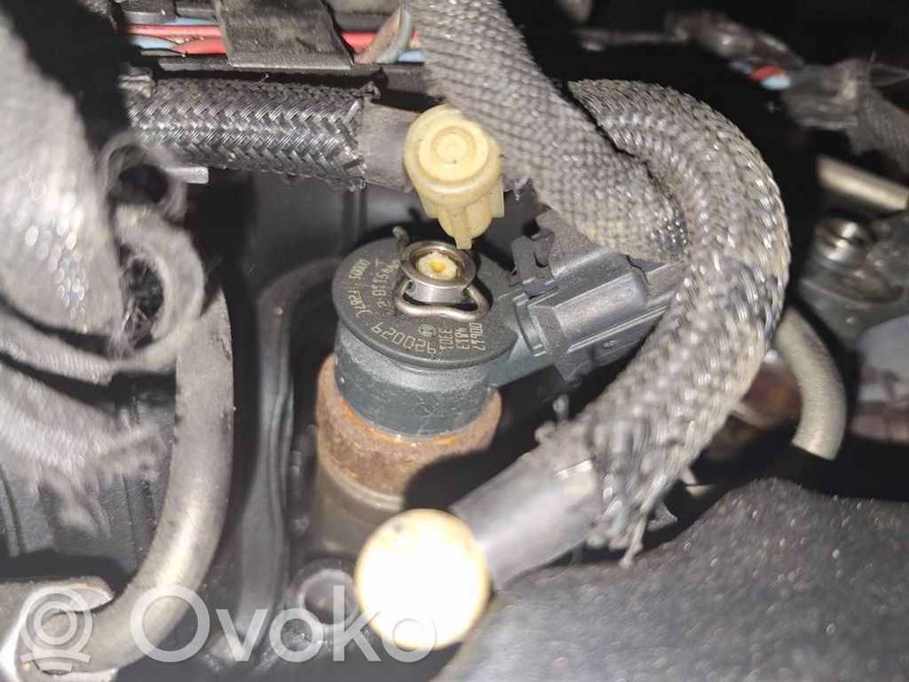 Citroen C4 I Picasso Iniettore