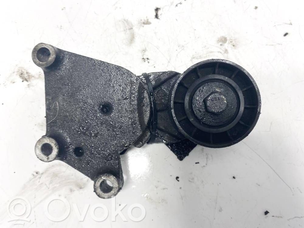 Citroen C4 I Picasso Întinzător curea generator/alternator 