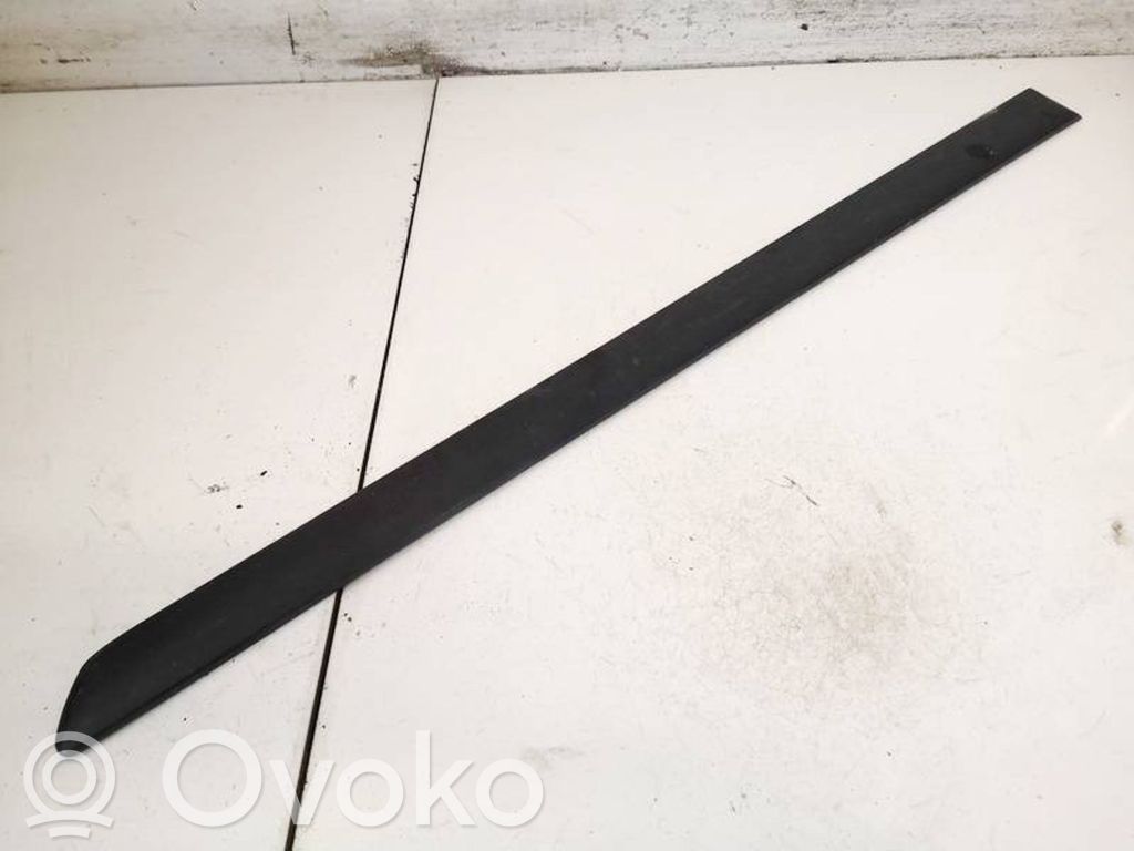 Skoda Octavia Mk2 (1Z) Rivestimento portiera posteriore (modanatura)