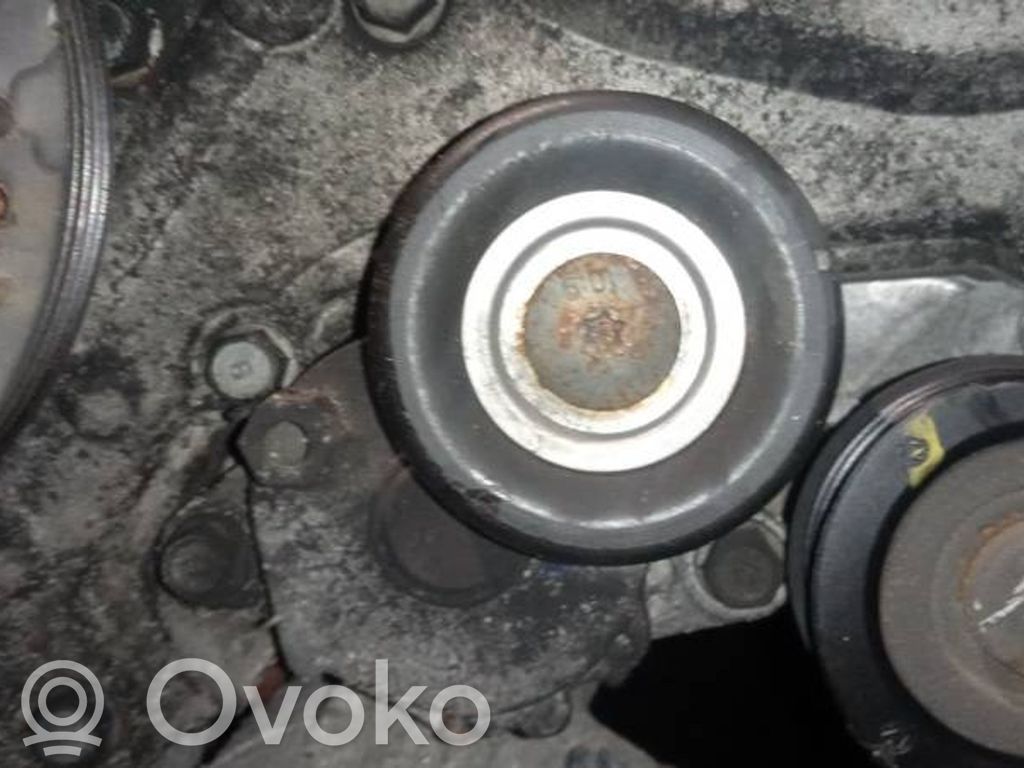 Tensor de correa del alternador   252812A200,252812A200,252812A200,252812A200