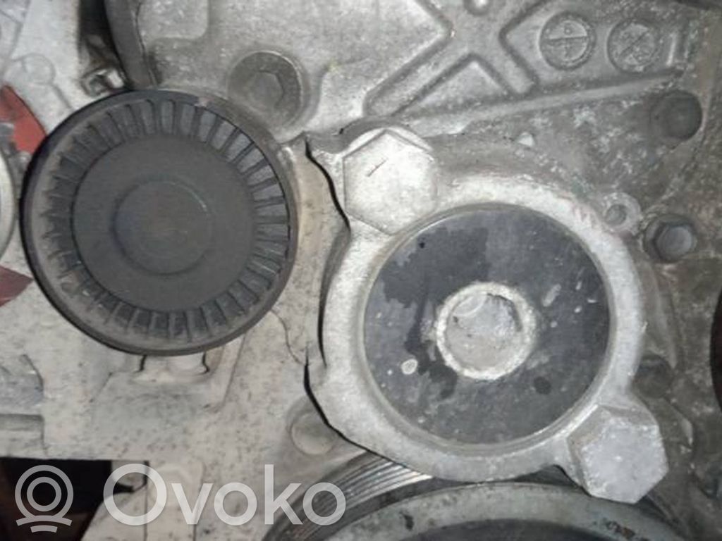 Toyota Avensis T270 Întinzător curea generator/alternator 