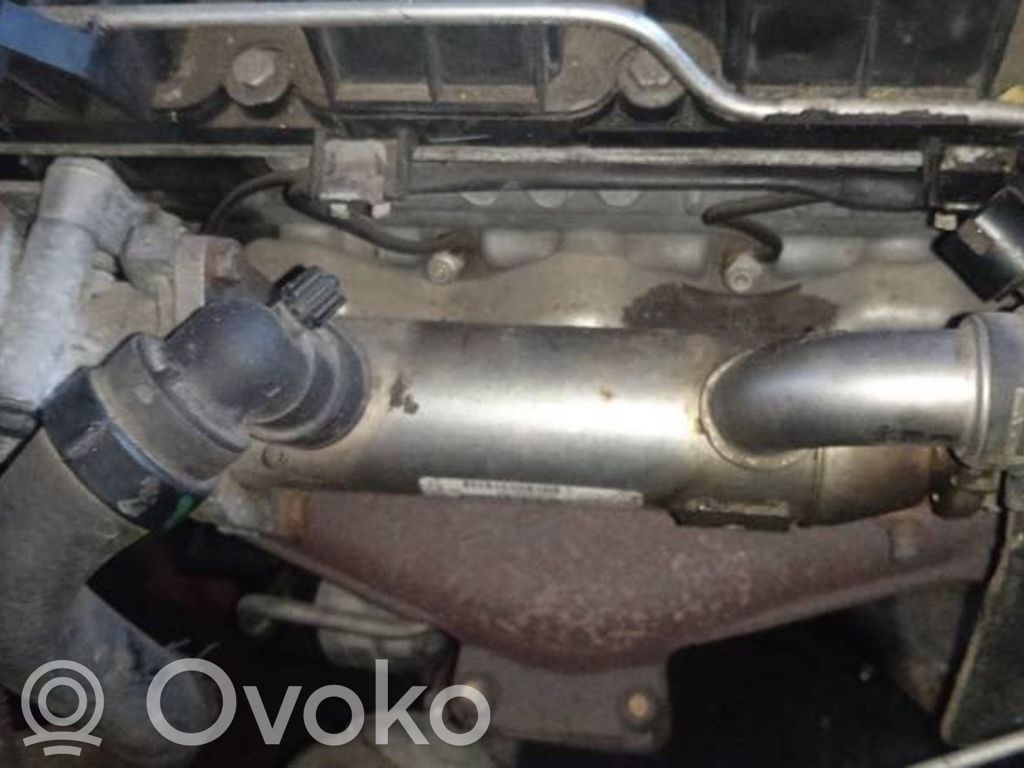 Citroen C5 Valvola di raffreddamento EGR 
