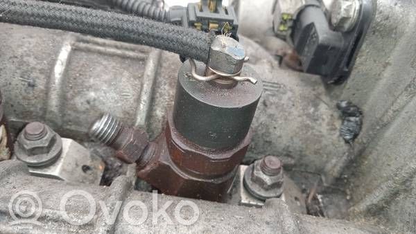 Injector combustibil   0445110213,0445110213