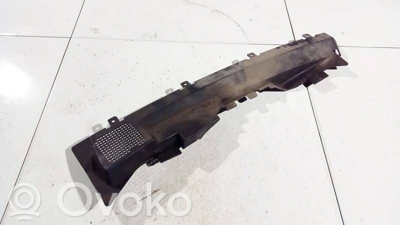 Ford C-MAX I Moldura del limpia 