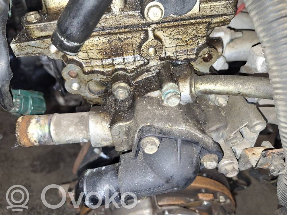 Nissan Primera Przewód / Wąż chłodnicy 