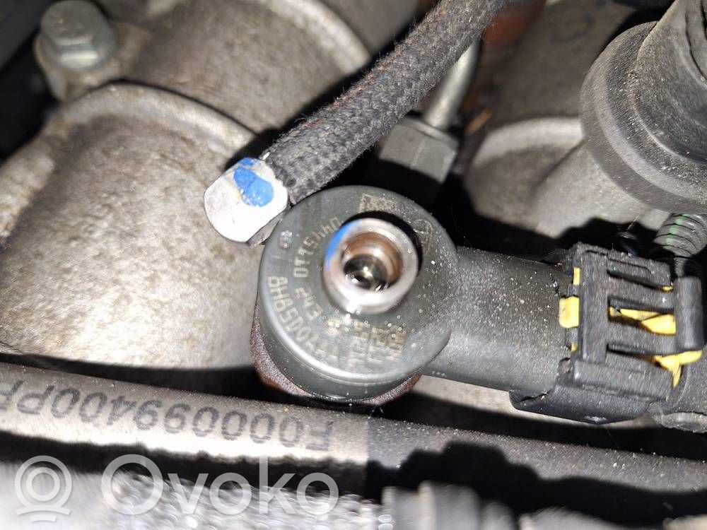 Inyector de combustible   0445110243,0445110243