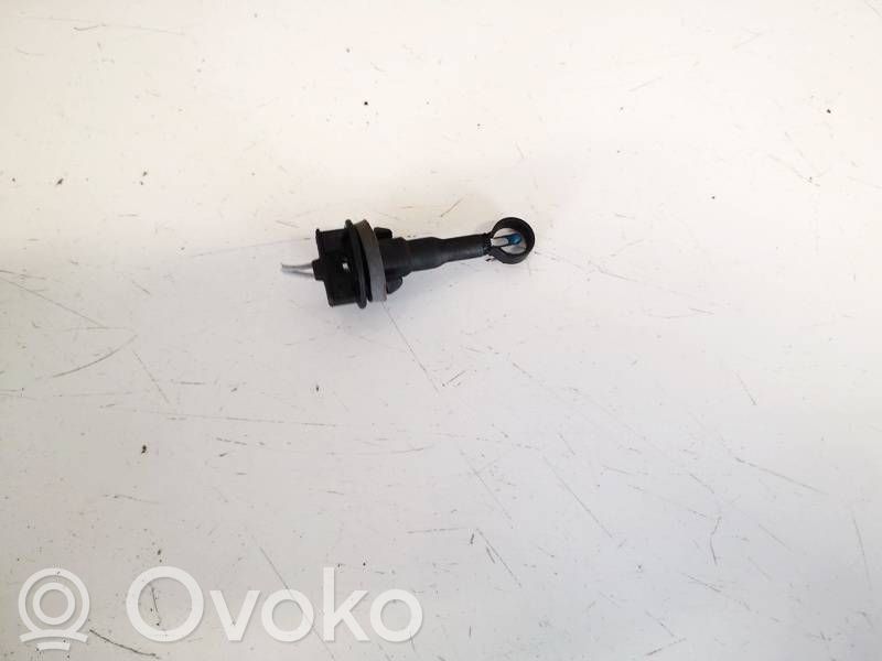 Innentemperatursensor   006667V,006667V
