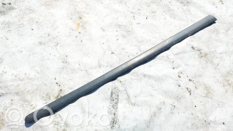 Volkswagen Golf V Rivestimento della portiera anteriore (modanatura)