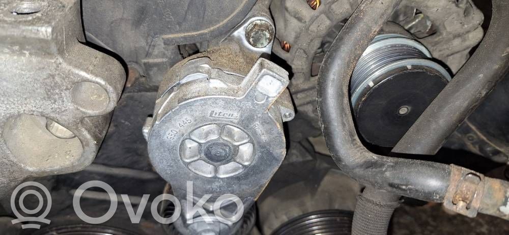 Volkswagen Touran I Lichtmaschine Riemenspanner Spannrolle Keilrippenriemen Keilriemen