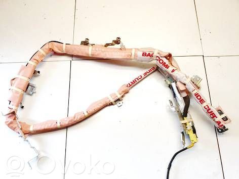Airbag cortină   1025473,1025473