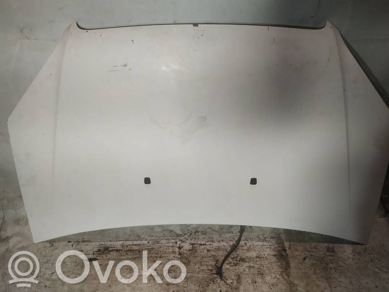 Motorhaube   BALTAS,BALTAS