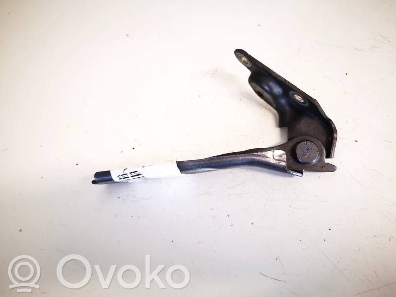 Audi A3 S3 8L Cerniere del vano motore/cofano 