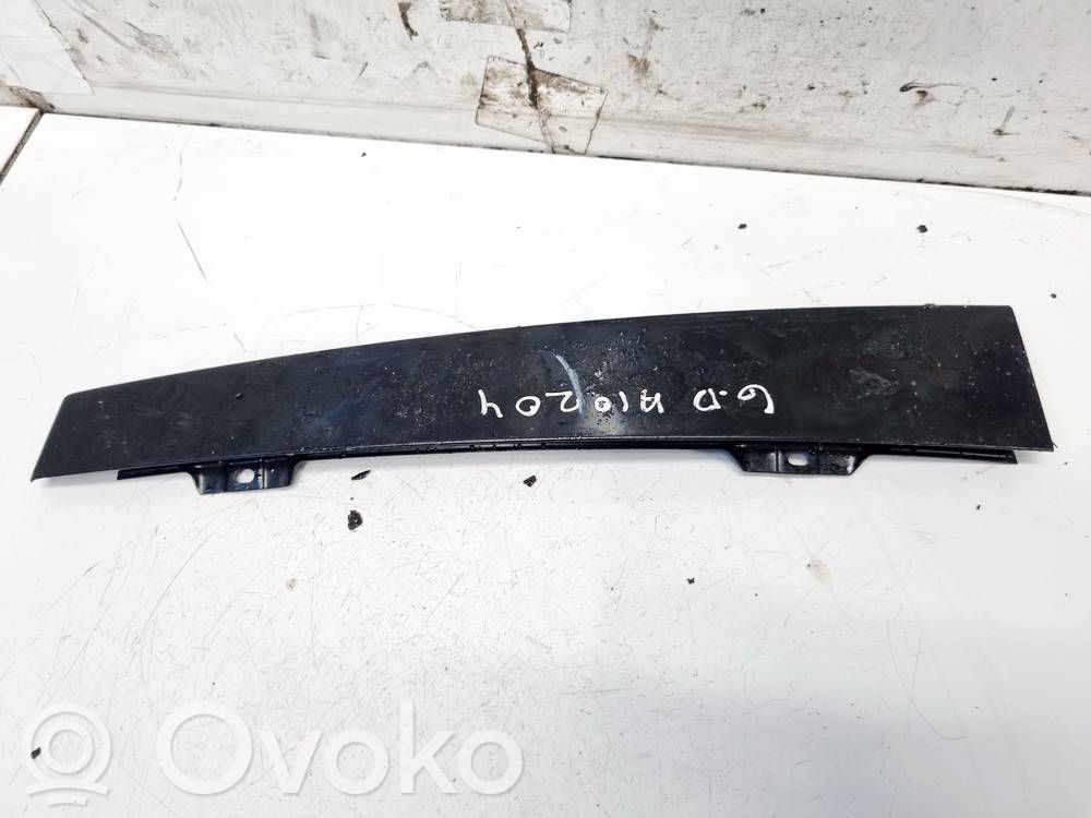 Volkswagen Polo IV 9N3 Rivestimento modanatura del vetro della portiera anteriore 
