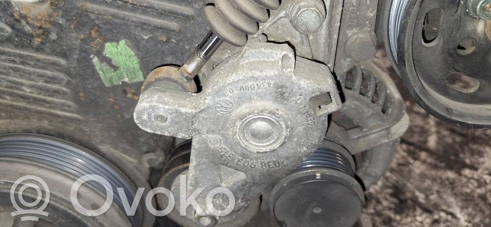 Audi A3 S3 8L Întinzător curea generator/alternator 