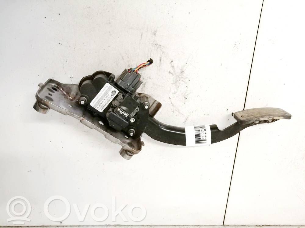 Land Rover Range Rover Sport L320 Kaasupoljin