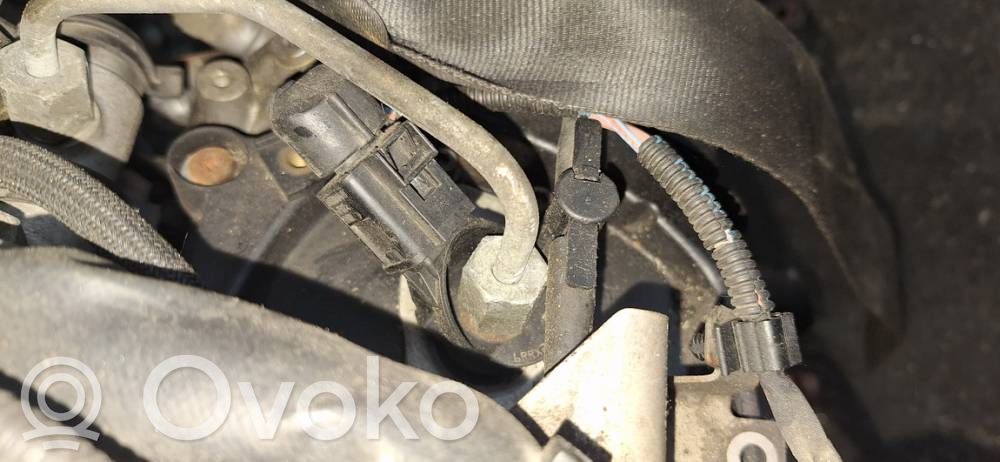 Inyector de combustible
