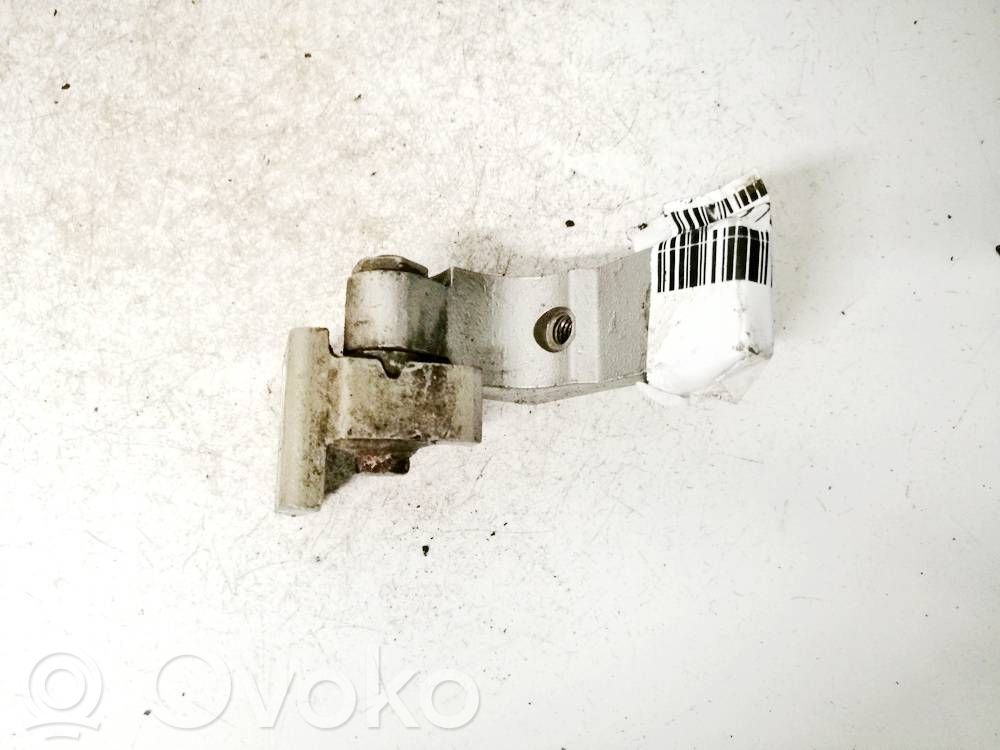 Bisagra inferior de la puerta trasera