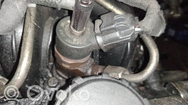Citroen Xsara Picasso Wtryskiwacz paliwa 