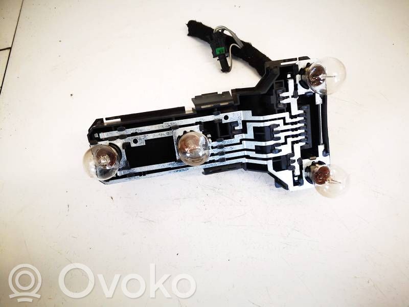 Volkswagen PASSAT B5 Portalampada fanale posteriore 