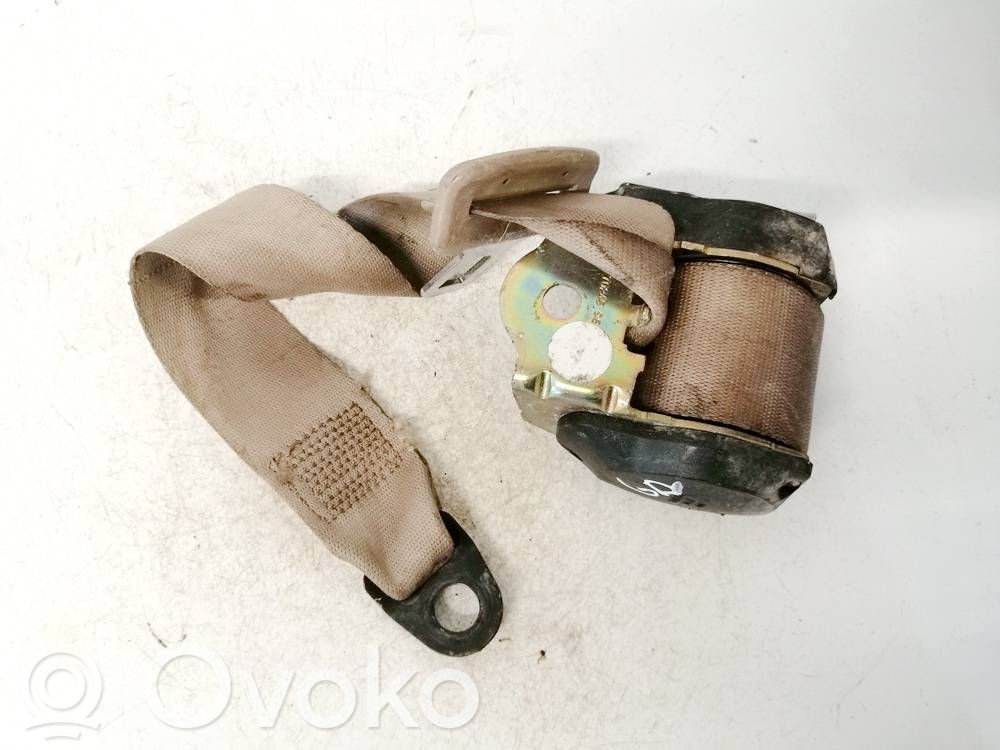 Cinturón trasero