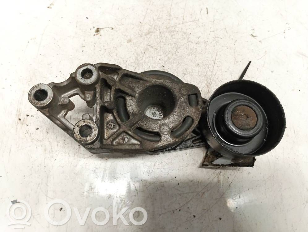 Skoda Praktik (5J8) Întinzător curea generator/alternator 