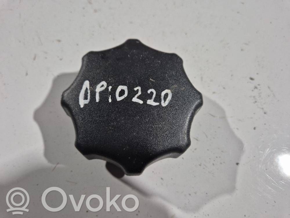 Opel Astra H Altra parte interiore