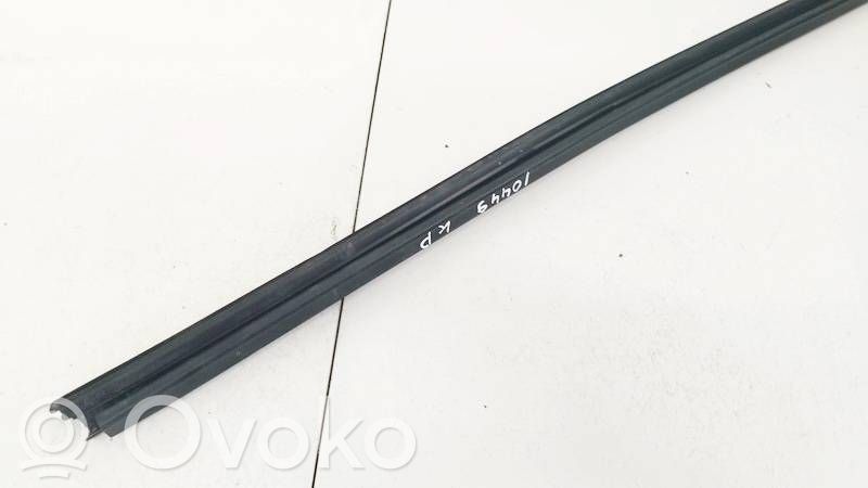 Renault Laguna III Rivestimento modanatura del vetro della portiera anteriore 