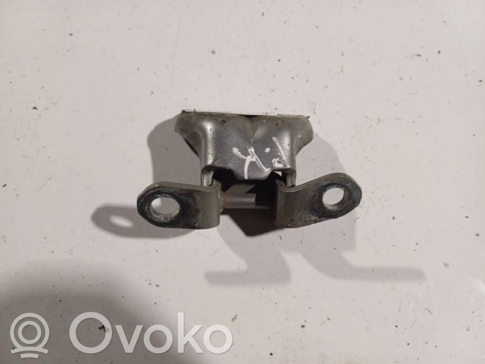 Rear door lower hinge