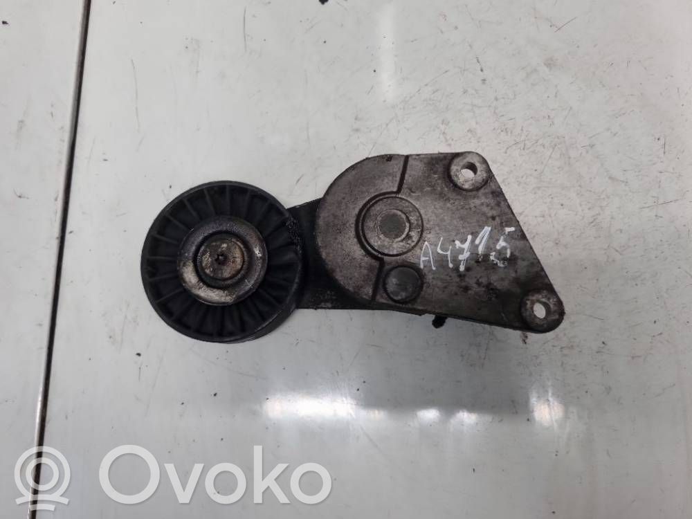 Peugeot 406 Întinzător curea generator/alternator 