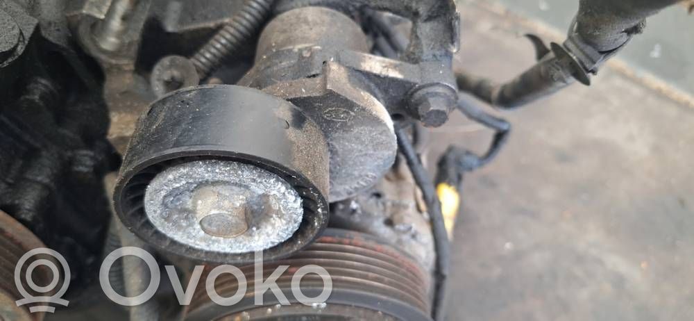 Peugeot 508 Napinacz paska alternatora 